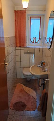 a bathroom with a sink and a toilet at Retrowohnung Lindenhof Oberndorf in Oberndorf