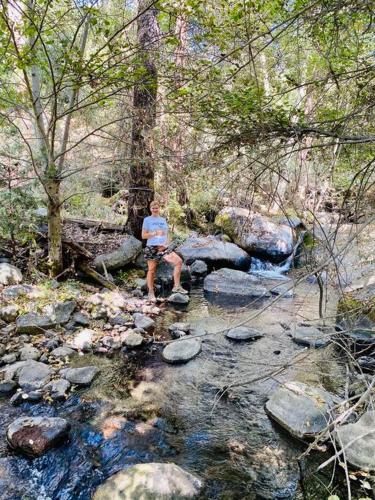 a man sitting on a rock next to a stream at Modern House on 5 acr in Sequoia National Forest in Panorama Heights