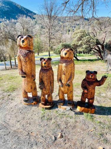 a group of wooden bears standing in a field at Modern House on 5 acr in Sequoia National Forest in Panorama Heights