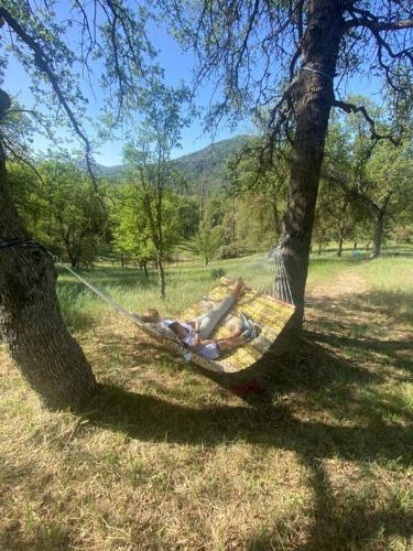 a person laying in a hammock between two trees at Modern House on 5 acr in Sequoia National Forest in Panorama Heights