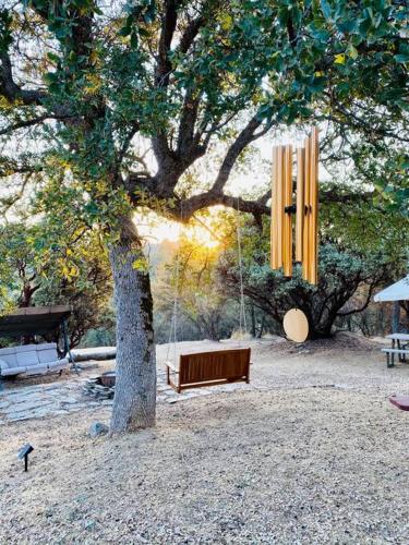 a bench sitting under a tree in a park at Modern House on 5 acr in Sequoia National Forest in Panorama Heights
