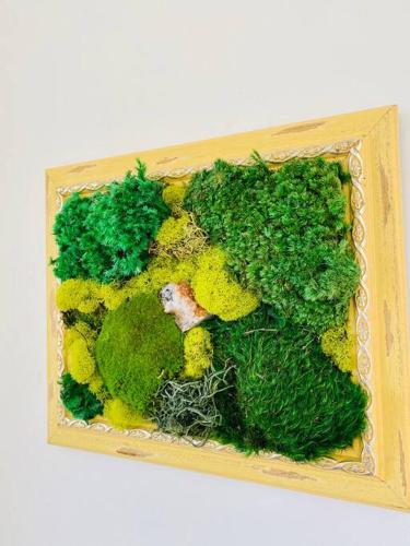a wooden box filled with green and yellow moss at Modern House on 5 acr in Sequoia National Forest in Panorama Heights