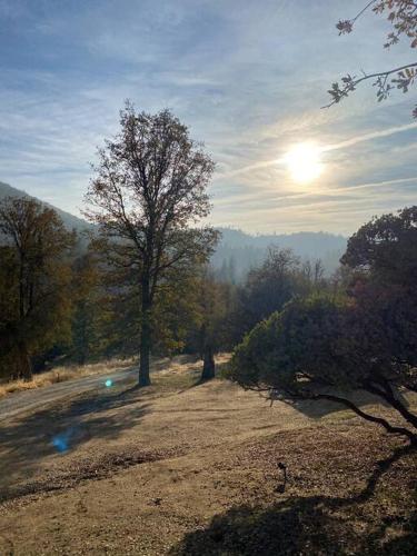a tree in a field with the sun in the background at Modern House on 5 acr in Sequoia National Forest in Panorama Heights