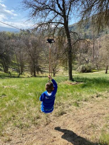 a young boy holding up a stick with a black object on it at Modern House on 5 acr in Sequoia National Forest in Panorama Heights