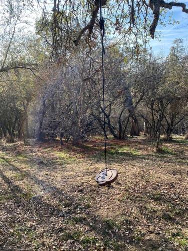a swing in the middle of a field with trees at Modern House on 5 acr in Sequoia National Forest in Panorama Heights
