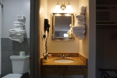 a bathroom with a sink and a mirror and a toilet at Harvest Drive Family Inn - Renovated Rooms in Gordonville