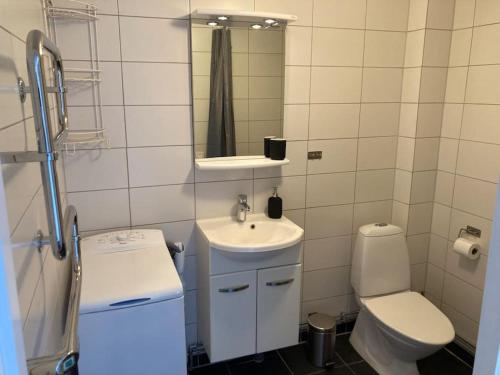 a small bathroom with a toilet and a sink at Fin lägenhet mitt på Bjärehalvön in Båstad