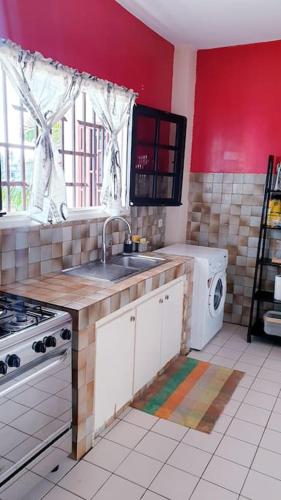a kitchen with a sink and a washing machine at Appartement très chaleureux à 3 minutes de l'océan in Libreville