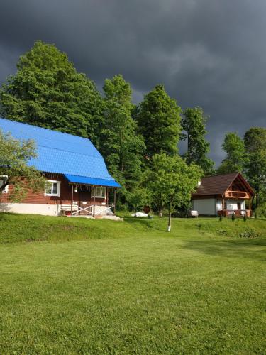 dom z niebieskim dachem na polu w obiekcie Котедж На Лузі w mieście Verkhne-Studënyy