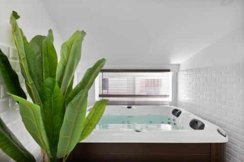 La salle de bains est pourvue d'une baignoire avec une plante verte. dans l'établissement Le Cosy Spa & Office au cœur de Toulouse, à Toulouse