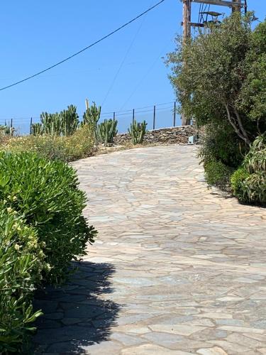 Fotografie z fotogalerie ubytování Andros v destinaci Agia Eleousa