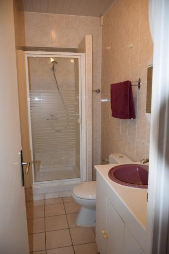 une salle de bain avec une douche, des toilettes et un lavabo dans l'établissement Villa Isaline, appartement Cyclamens T1 bis-parking privé, à Aix-les-Bains