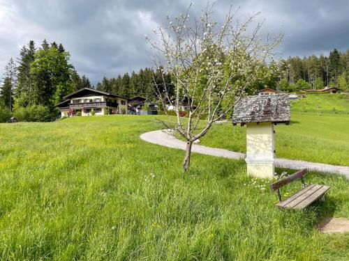 a park with a bench and a tree in a field at Am Randersberg - Wohnung Nr 4 in Grossgmain