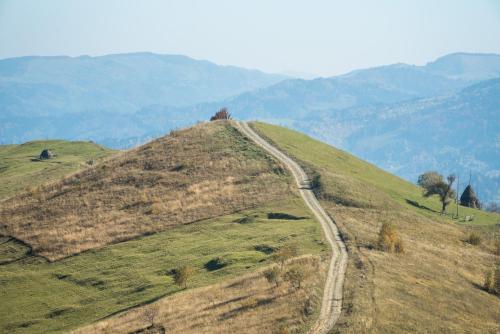 a dirt road on top of a grassy hill at Апартаменти БАРВА in Beloberëzka