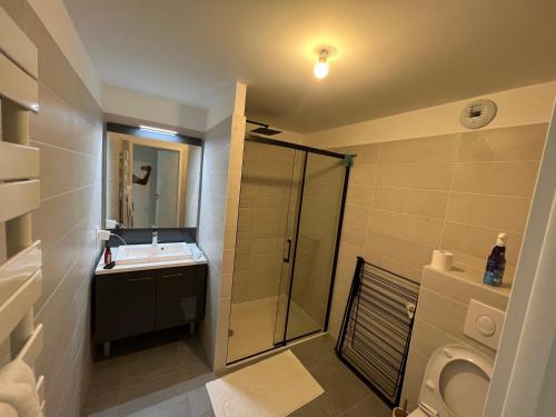 a bathroom with a shower and a sink and a toilet at Le royaume de Fabrice in Suresnes