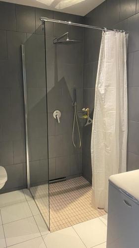 a shower with a glass door in a bathroom at Apartament Paula in Władysławowo