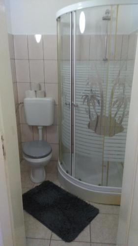 uma casa de banho com um WC e uma cabina de duche em vidro. em Stellas Monteurswohnungen em Werdau