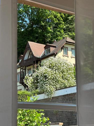 een raam met uitzicht op een huis met een heg met bloemen bij Burgfreiheit in Heidelberg