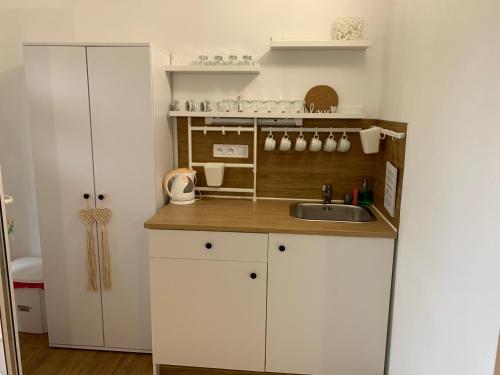 a small kitchen with white cabinets and a sink at Apartmány ZELENÝ DOM in Podhájska