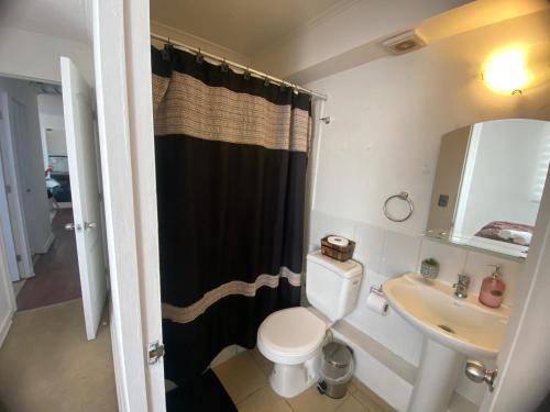 ein kleines Bad mit WC und Waschbecken in der Unterkunft Apartamento boldo Curicó in Curicó