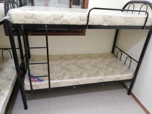 Palanda nebo palandy na pokoji v ubytování Nuzee Bedspace & dormitory Hostel for bagpackers
