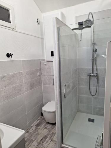 une salle de bain avec douche et toilettes dans l'établissement au p'tit logis montlouisien, à Montlouis-sur-Loire