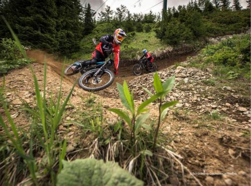 two people riding bikes on a dirt trail at ALPINE Appartement 208 Schladming by globboard in Schladming