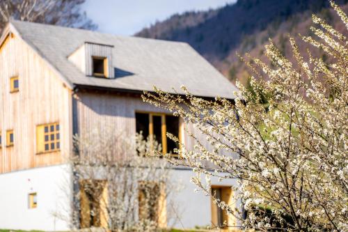 una casa con un albero di fronte di IKI Retreat Magura a Măgura