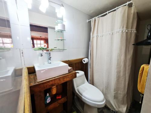 y baño con lavabo, aseo y ducha. en Suite Refugio de Luz, en Chillán