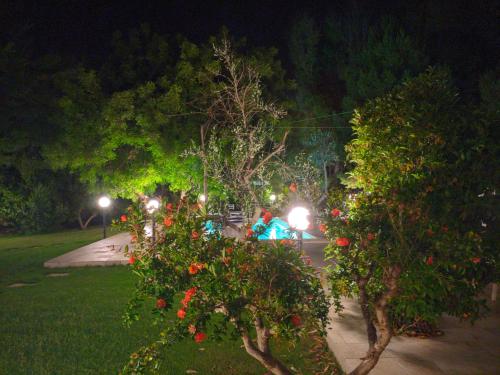 トッレ・スーダにあるVerdebluの夜の公園灯りの木々