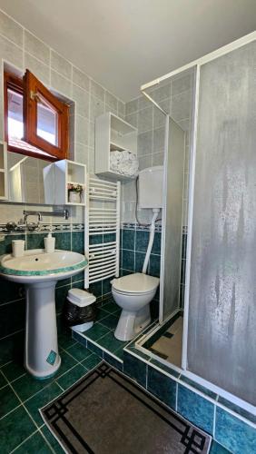 ein Bad mit einem WC, einem Waschbecken und einer Dusche in der Unterkunft River View - Danube in Čelarevo