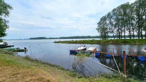 a group of boats are docked on a lake at River View - Danube in Čelarevo