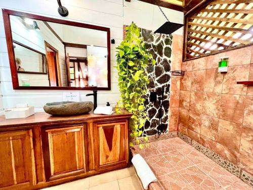 uma casa de banho com um lavatório e um chuveiro com um espelho. em Casa Elita - Tranquil Escape with Pool, Jacuzzi, AC em Puerto Viejo