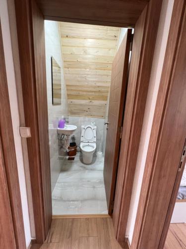 ein Bad mit einem WC und einem Waschbecken in der Unterkunft Villa Dardania in Peja