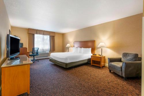 プラサービルにあるBest Western Plus Placerville Innのベッドとテレビが備わるホテルルームです。