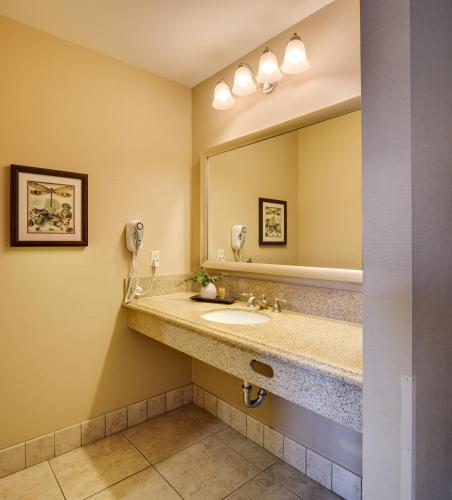 a bathroom with a sink and a mirror at Ayres Hotel & Spa Mission Viejo - Lake Forest in Mission Viejo