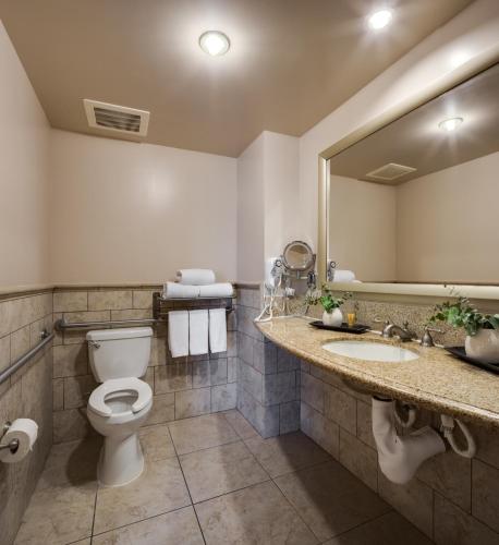 a bathroom with a toilet and a large mirror at Ayres Hotel & Spa Mission Viejo - Lake Forest in Mission Viejo