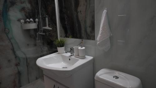 uma casa de banho com um lavatório, um WC e um chuveiro em Elite Studio Militari Residence em Chiajna