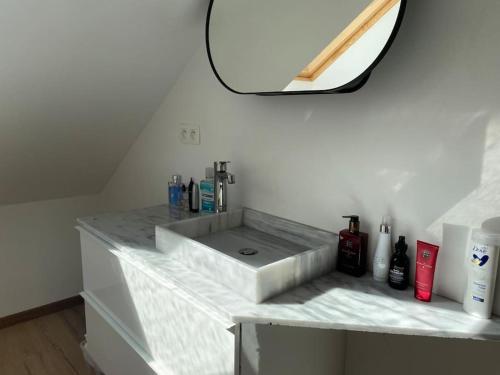 um balcão de casa de banho com um lavatório e um espelho em Spacious app/Antwerp city center #003 em Antuérpia