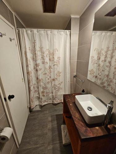 a bathroom with a sink and a shower at Casa Ellies Hotel Boutique in Puerto Varas