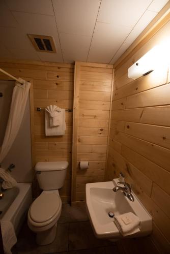 a bathroom with a white toilet and a sink at Apple Blossom Boutique in Mackinaw City