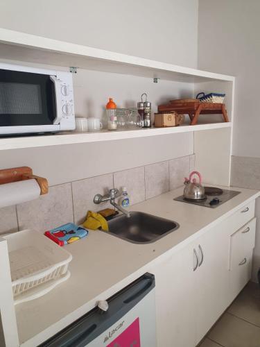 a kitchen counter with a sink and a microwave at ALTOS DE LA CAÑADA in Albardón