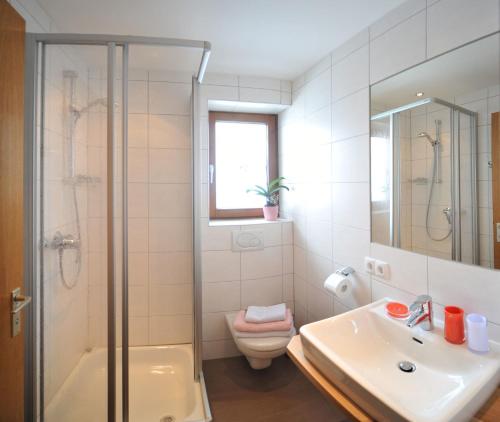 La salle de bains est pourvue d'une douche, de toilettes et d'un lavabo. dans l'établissement Appartements Wilma, à Schladming