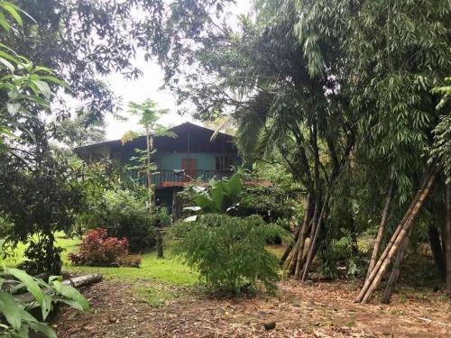 dom na środku ogrodu z drzewami w obiekcie Finca Bambú Del Valle w mieście Santa Clara