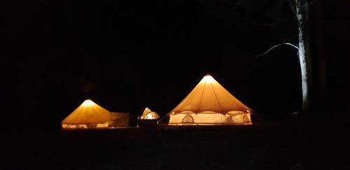 AlonnahにあるBase Glamp Bruny - Heated Tents for 8 Peopleのギャラリーの写真