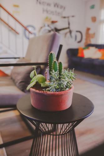 a plant sitting on top of a black table at Hostel new way in Sao Paulo