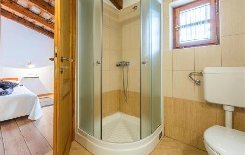 a bathroom with a shower with a glass door at Awesome Apartment In Cerovlje With Kitchen in Cerovlje