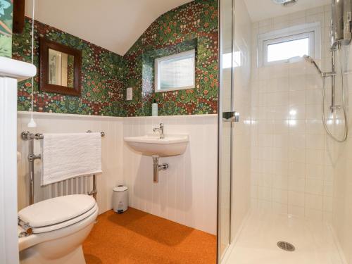 LlandysulにあるDolwylan Cottageのバスルーム(トイレ、洗面台、シャワー付)