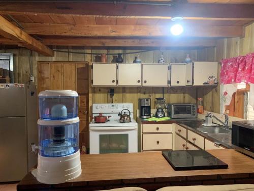 a kitchen with a counter with a blender on a table at Cabaña Mamá Elia in Trinidad