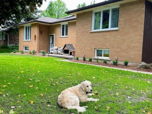 a dog laying in the grass in front of a house at The Victoria Suite in Elora- King Bed in Elora